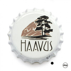 Haavus